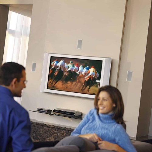 Bose Virtually Invisible 191 Speakers Review