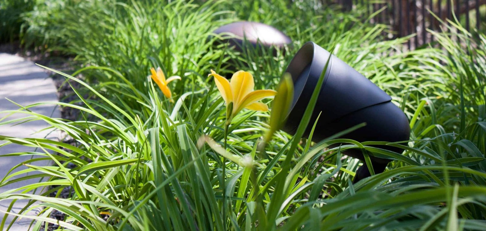 Outdoor Speaker Placement Guide