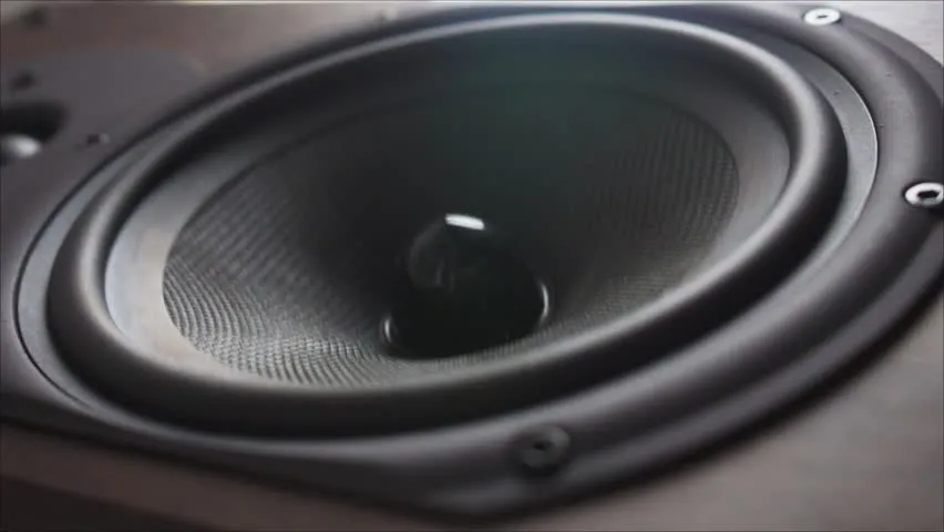 Speaker Driver Closeup